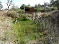 Bird Hide BSP1 Portugal