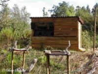 Bird Hide Alentejo Portugal