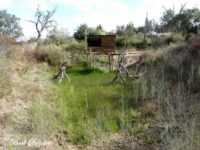 Bird Hide Alentejo Portugal