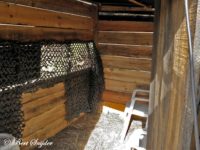 Bird Hide Alentejo Portugal