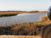 Bird Hide BSP3 Photography Portugal