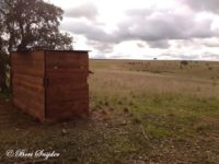 Bird Hide BSP4 Portugal